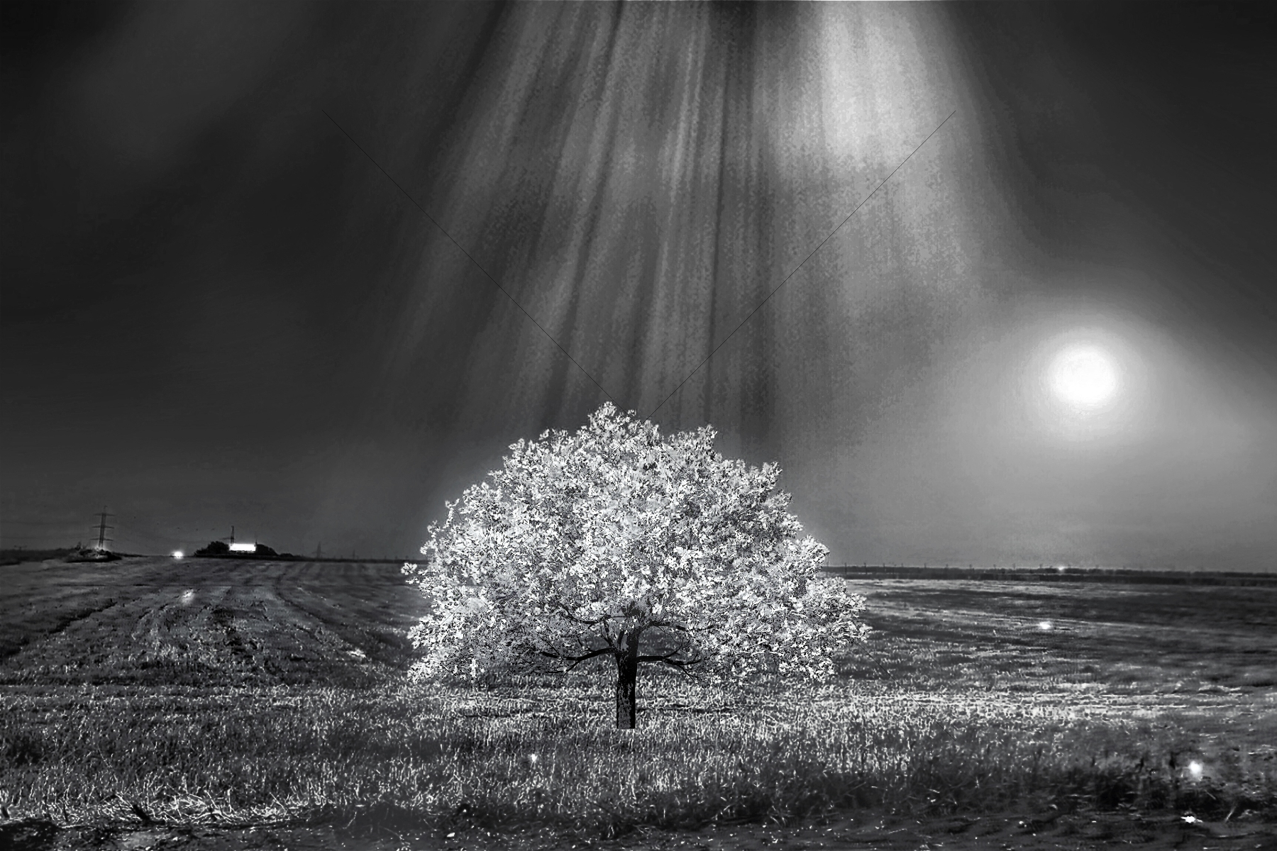 The World In Black And White 6" x 4" Photo Print