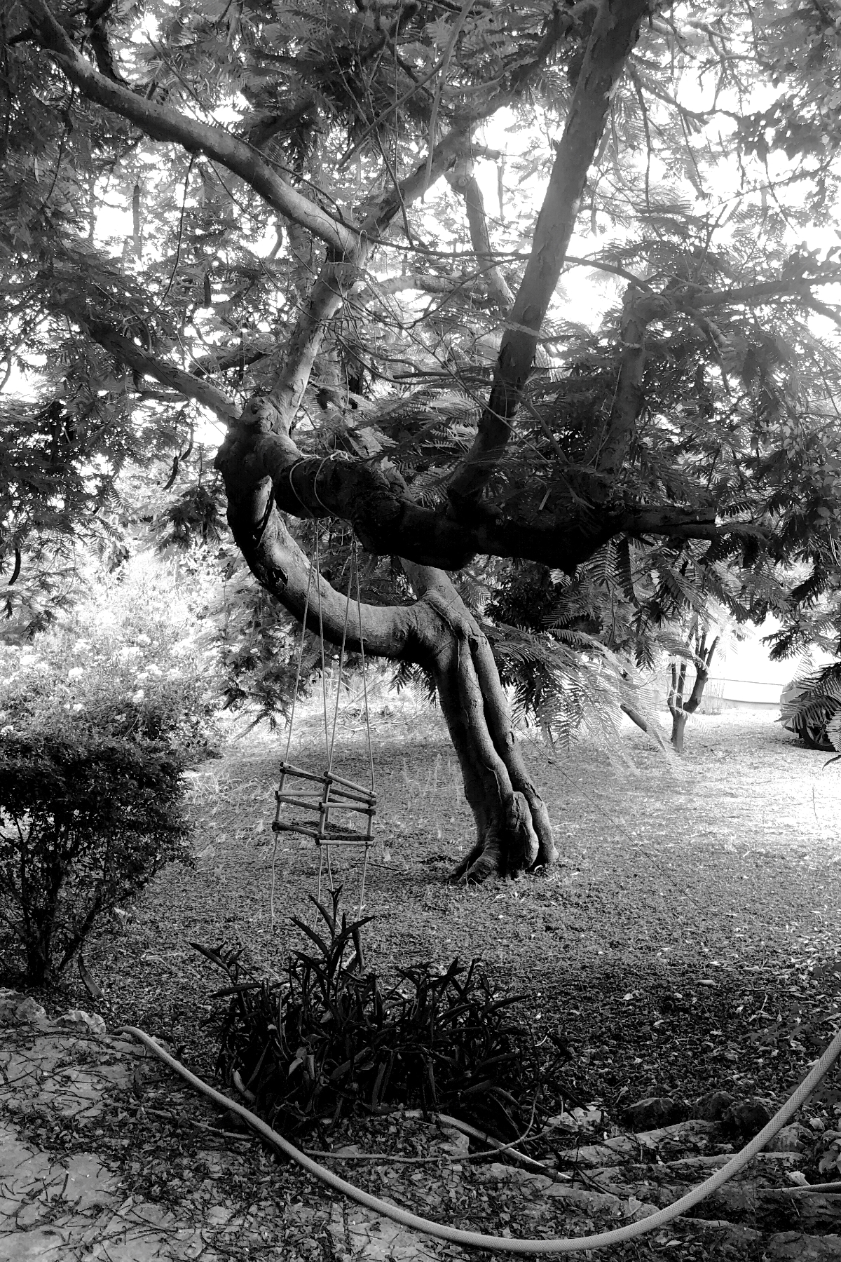 The World In Black And White 6" x 4" Photo Print