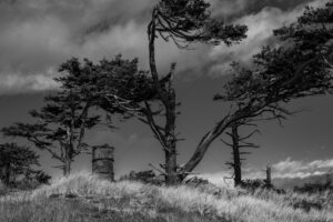 The World In Black And White 6" x 4" Photo Print