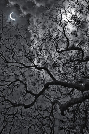 The World In Black And White 6" x 4" Photo Print