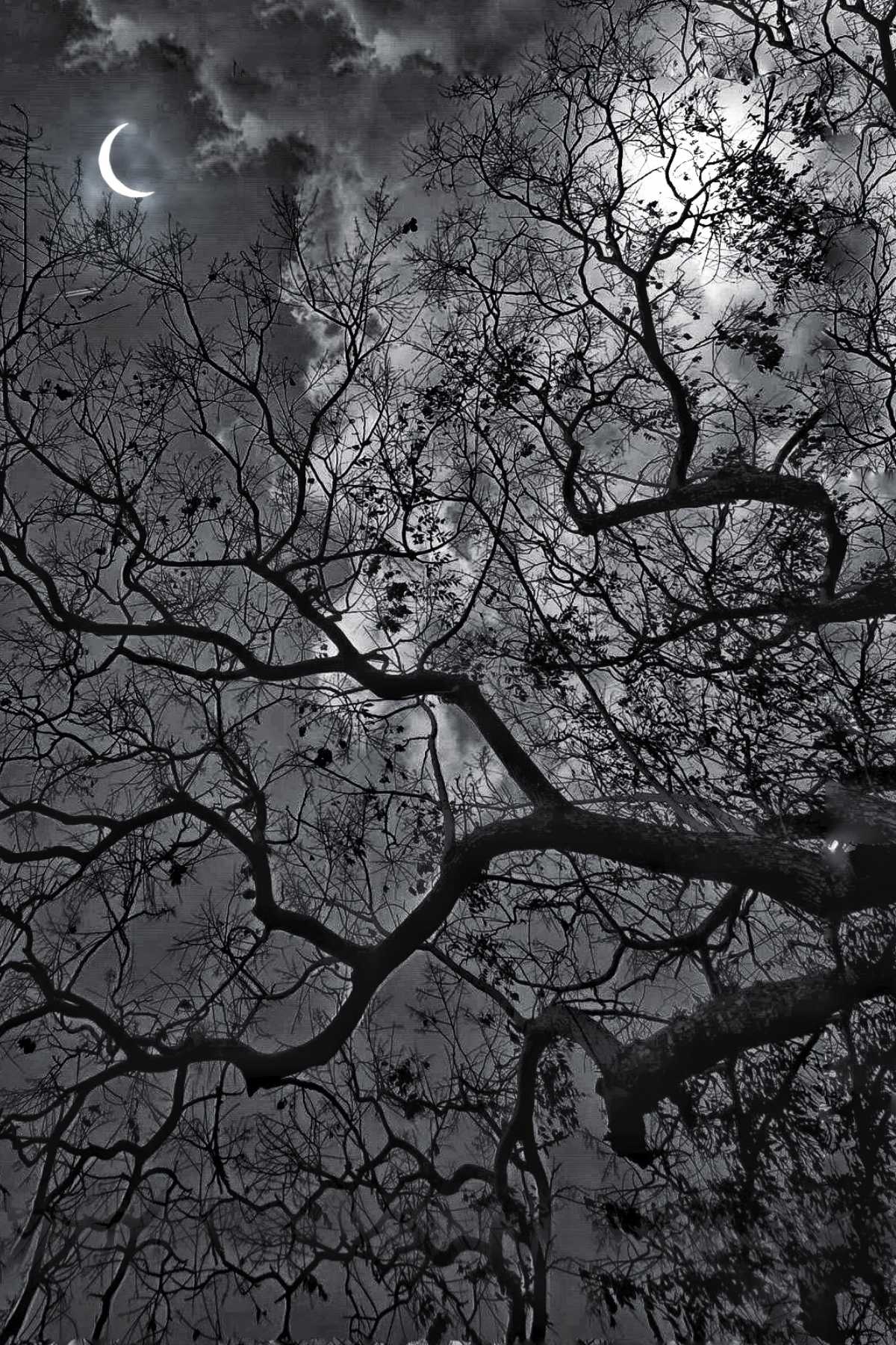 The World In Black And White 6" x 4" Photo Print