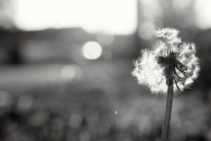 The World In Black And White 6" x 4" Photo Print