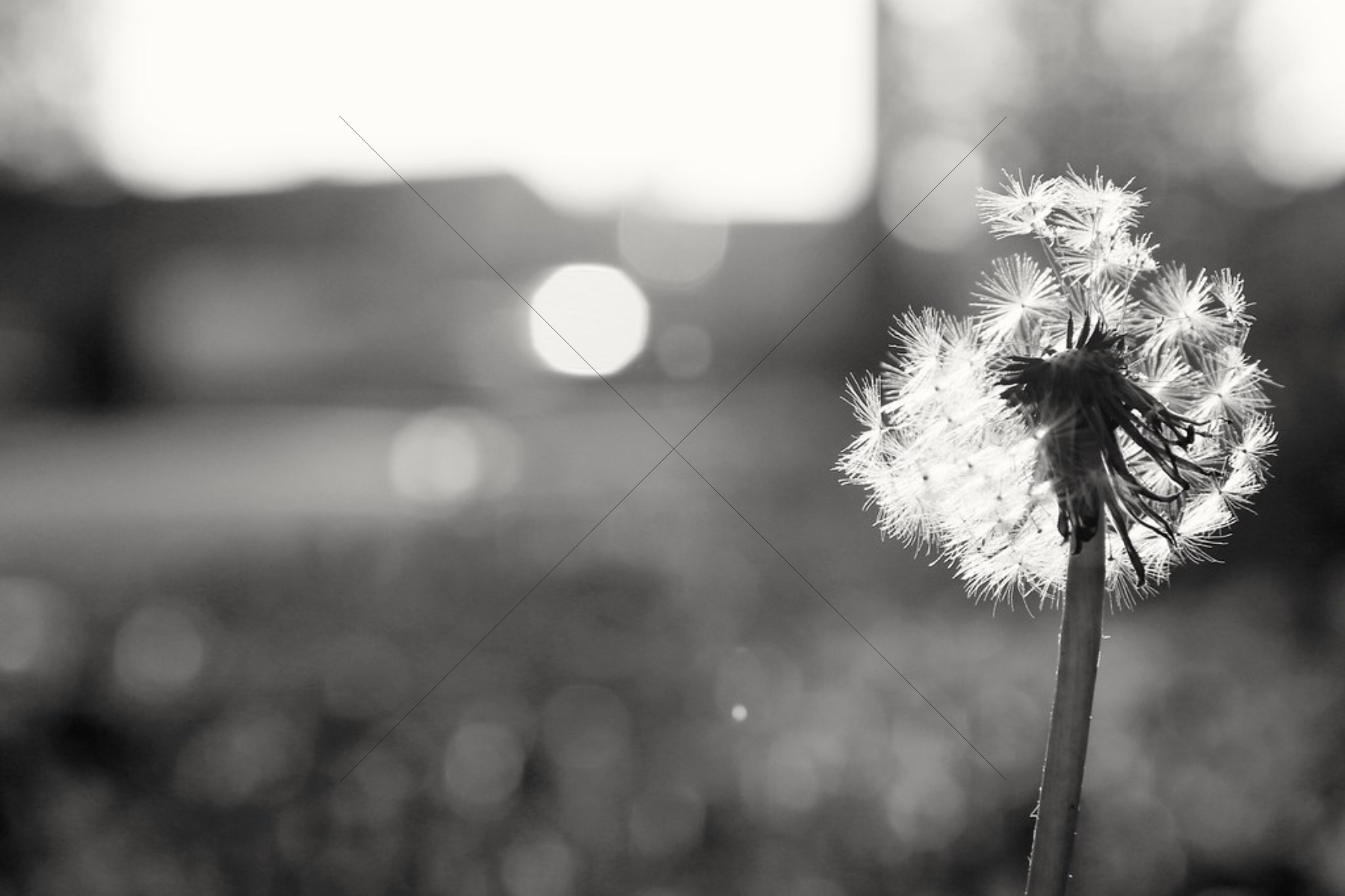 The World In Black And White 6" x 4" Photo Print