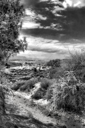 The World In Black And White 6" x 4" Photo Print