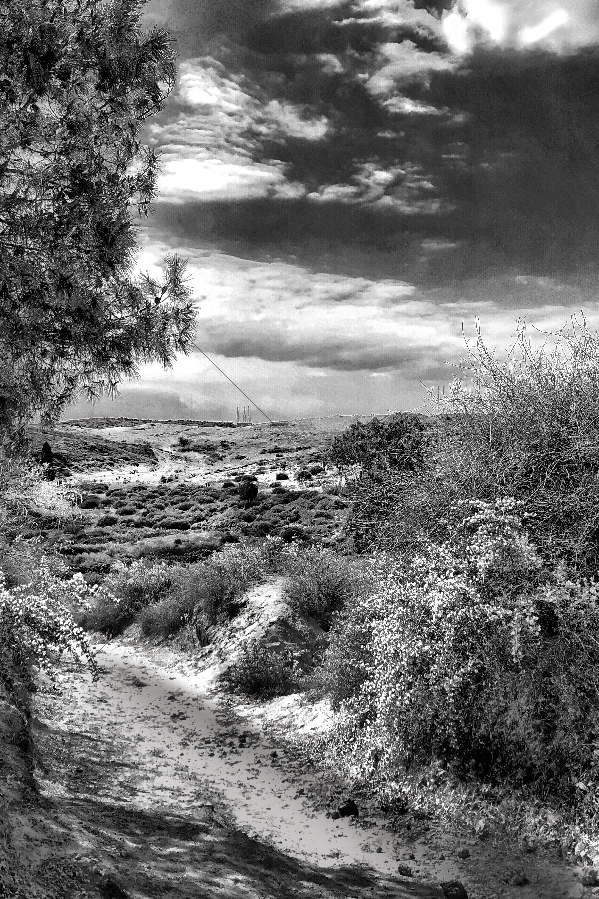 The World In Black And White 6" x 4" Photo Print