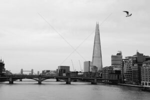 The World In Black And White 6" x 4" Photo Print