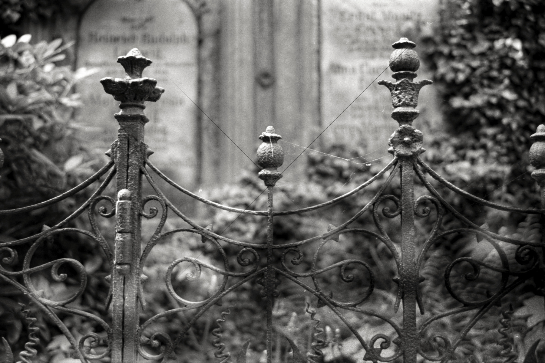 The World In Black And White 6" x 4" Photo Print