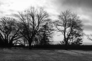 The World In Black And White 6" x 4" Photo Print