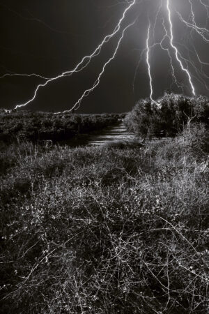 The World In Black And White 6" x 4" Photo Print