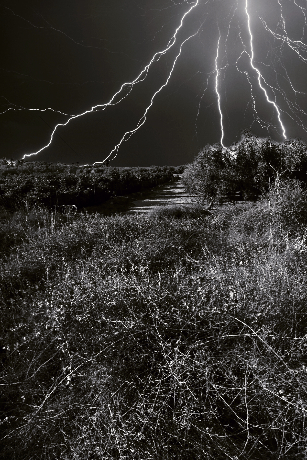 The World In Black And White 6" x 4" Photo Print