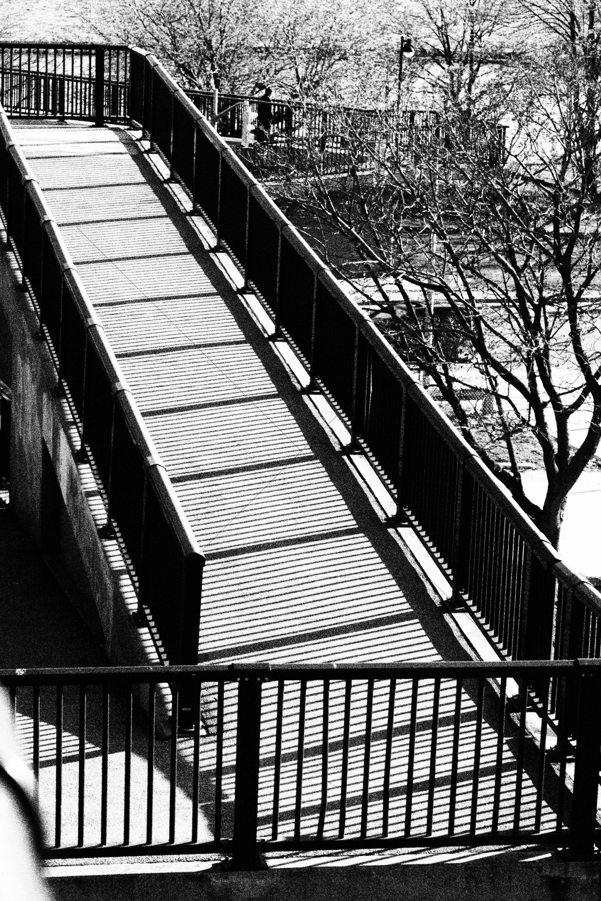 The World In Black And White 6" x 4" Photo Print