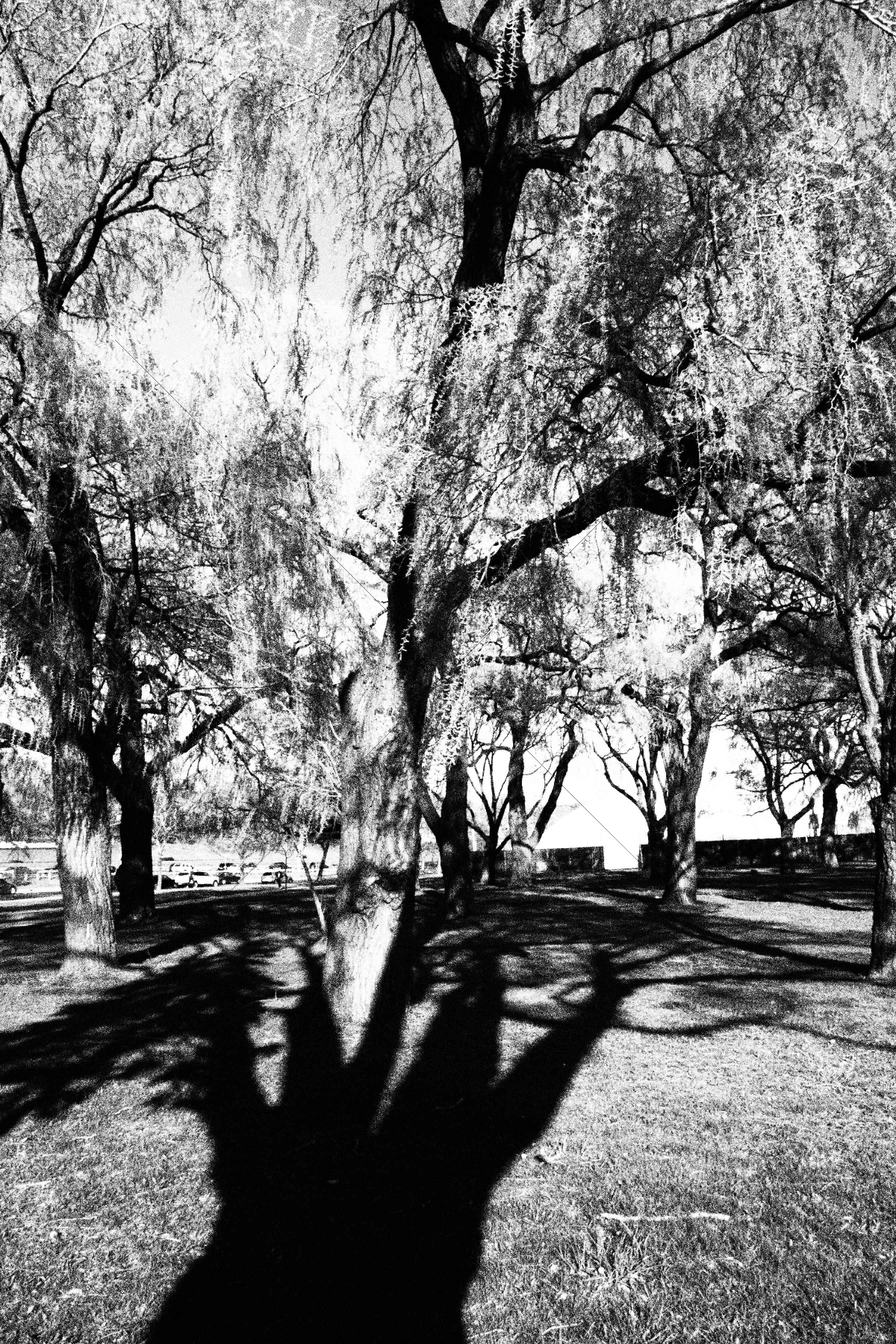 The World In Black And White 6" x 4" Photo Print