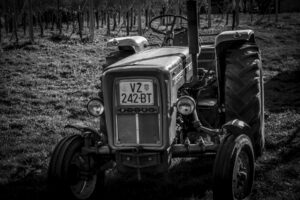 The World In Black And White 6" x 4" Photo Print