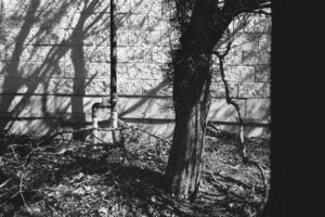 The World In Black And White 6" x 4" Photo Print