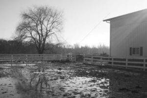 The World In Black And White 6" x 4" Photo Print