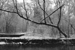 The World In Black And White 6" x 4" Photo Print