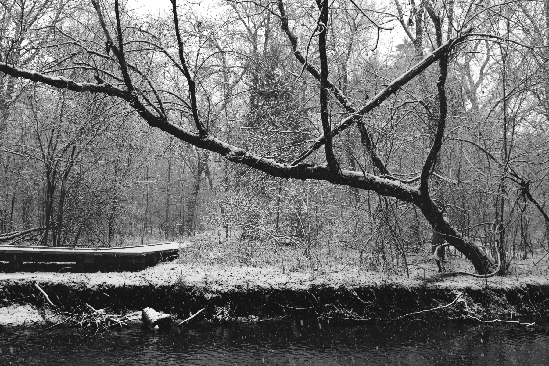 The World In Black And White 6" x 4" Photo Print