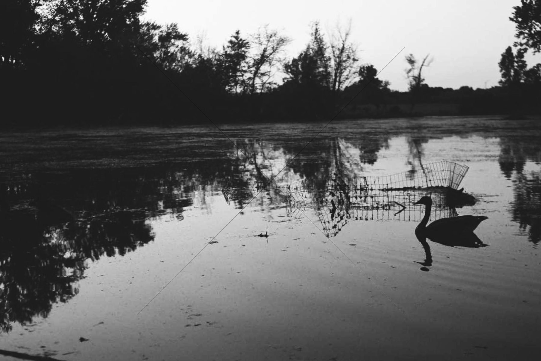 The World In Black And White 6" x 4" Photo Print