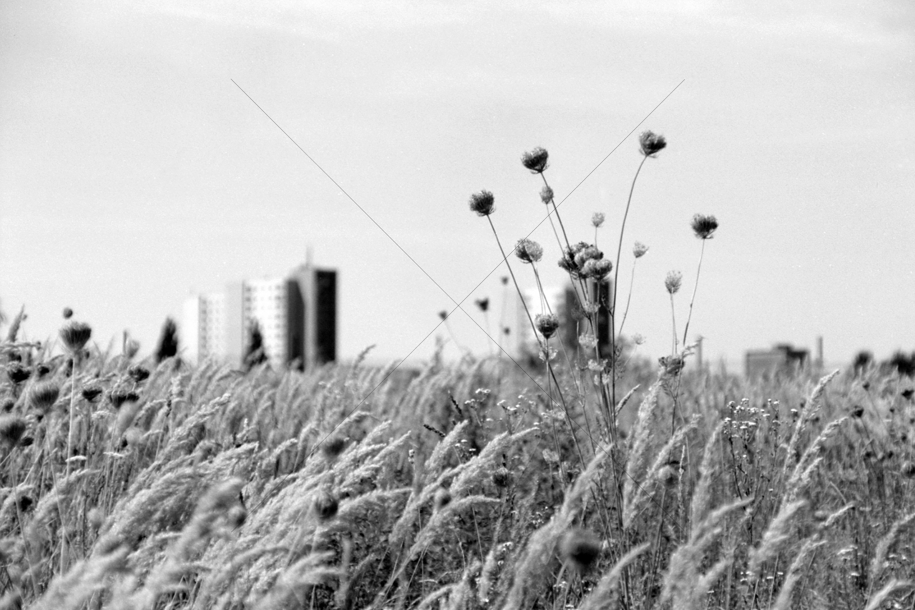 The World In Black And White 6" x 4" Photo Print