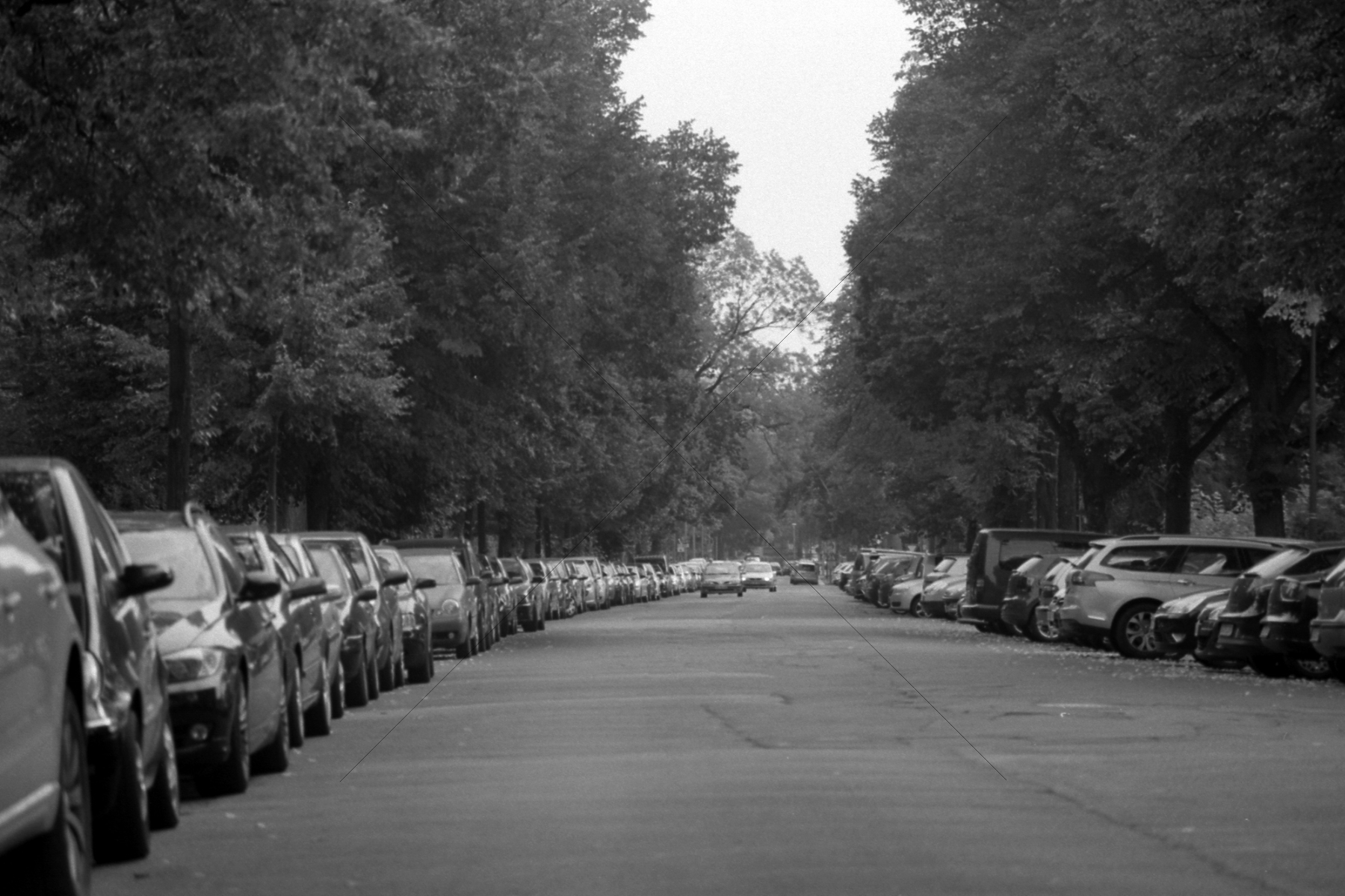 The World In Black And White 6" x 4" Photo Print