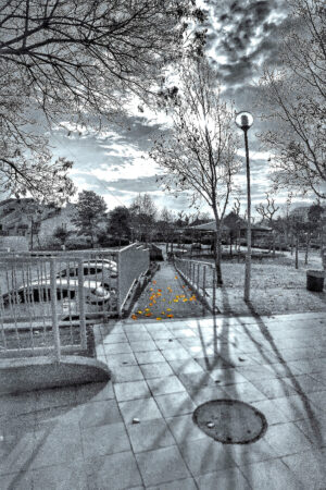 The World In Black And White 6" x 4" Photo Print