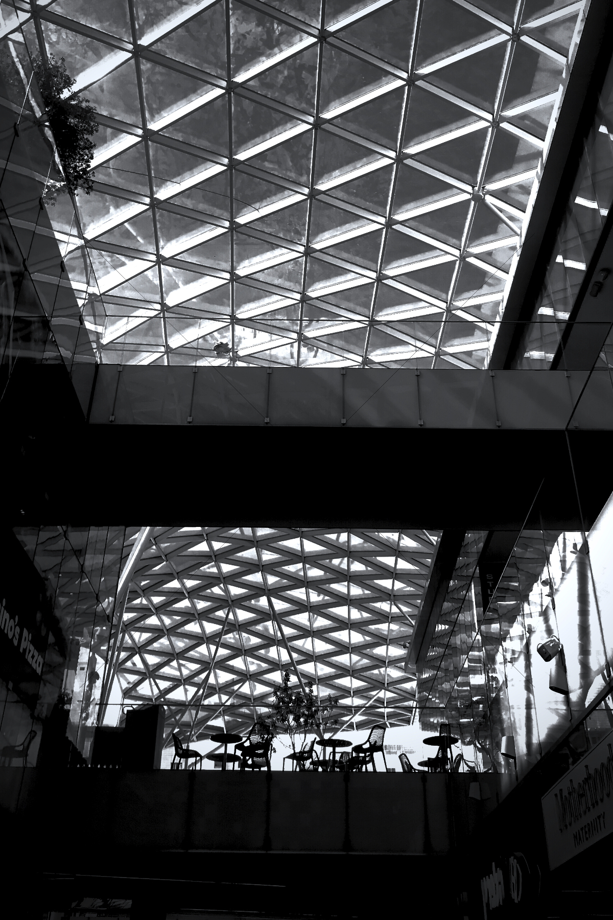 The World In Black And White 6" x 4" Photo Print