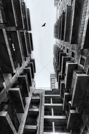 The World In Black And White 6" x 4" Photo Print