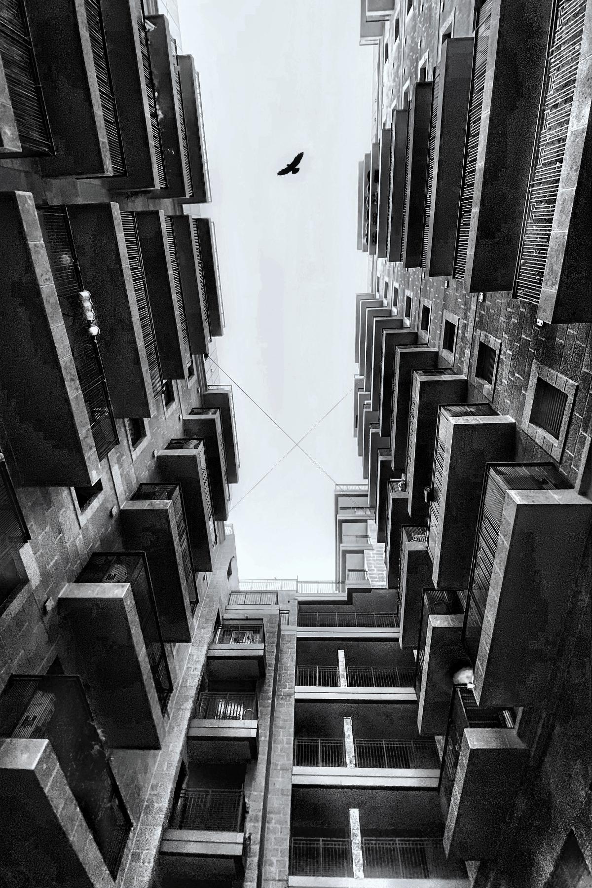 The World In Black And White 6" x 4" Photo Print