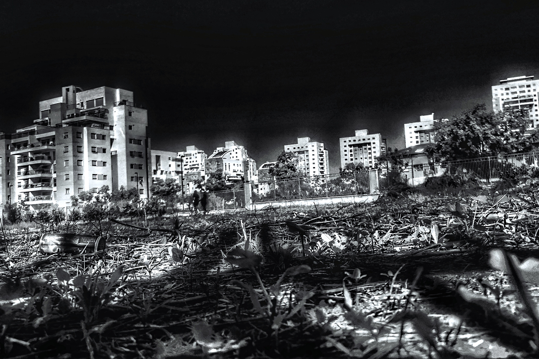 The World In Black And White 6" x 4" Photo Print