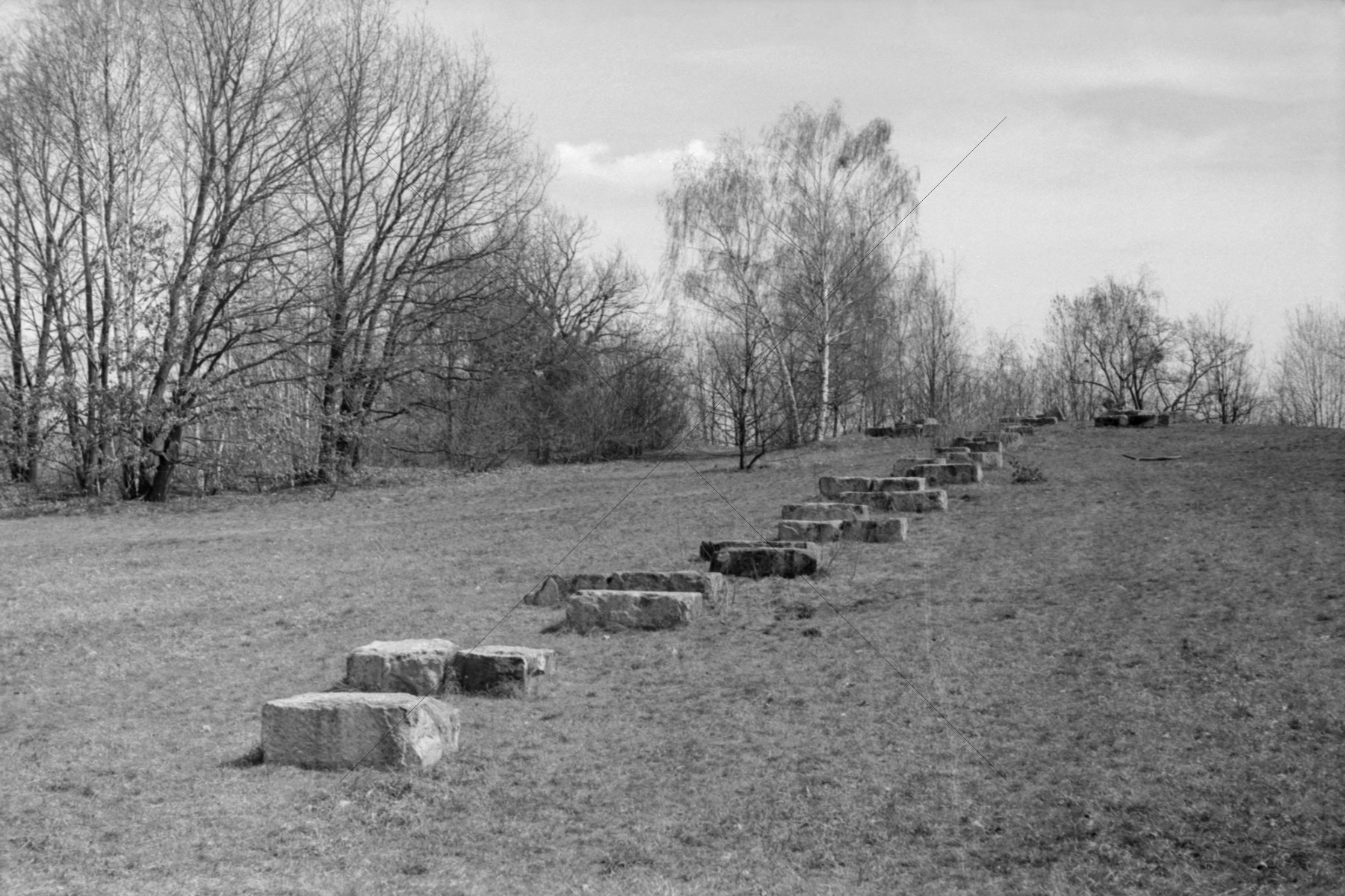 The World In Black And White 6" x 4" Photo Print