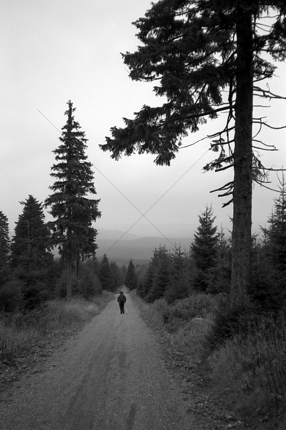 The World In Black And White 6" x 4" Photo Print