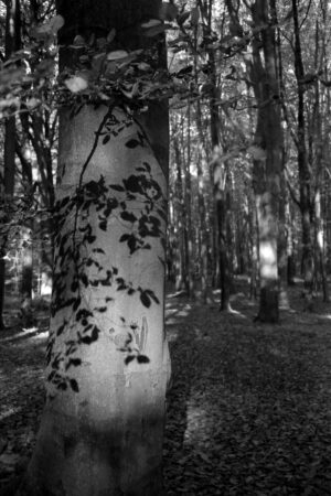 The World In Black And White 6" x 4" Photo Print