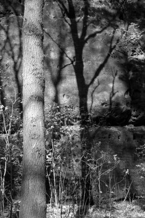 The World In Black And White 6" x 4" Photo Print