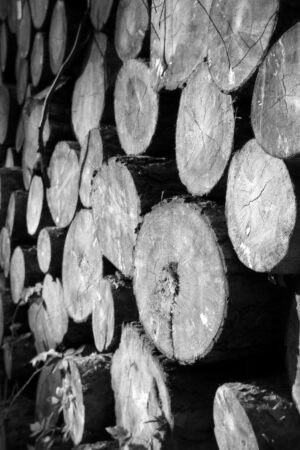 The World In Black And White 6" x 4" Photo Print