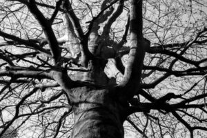 The World In Black And White 6" x 4" Photo Print