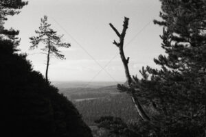 The World In Black And White 6" x 4" Photo Print