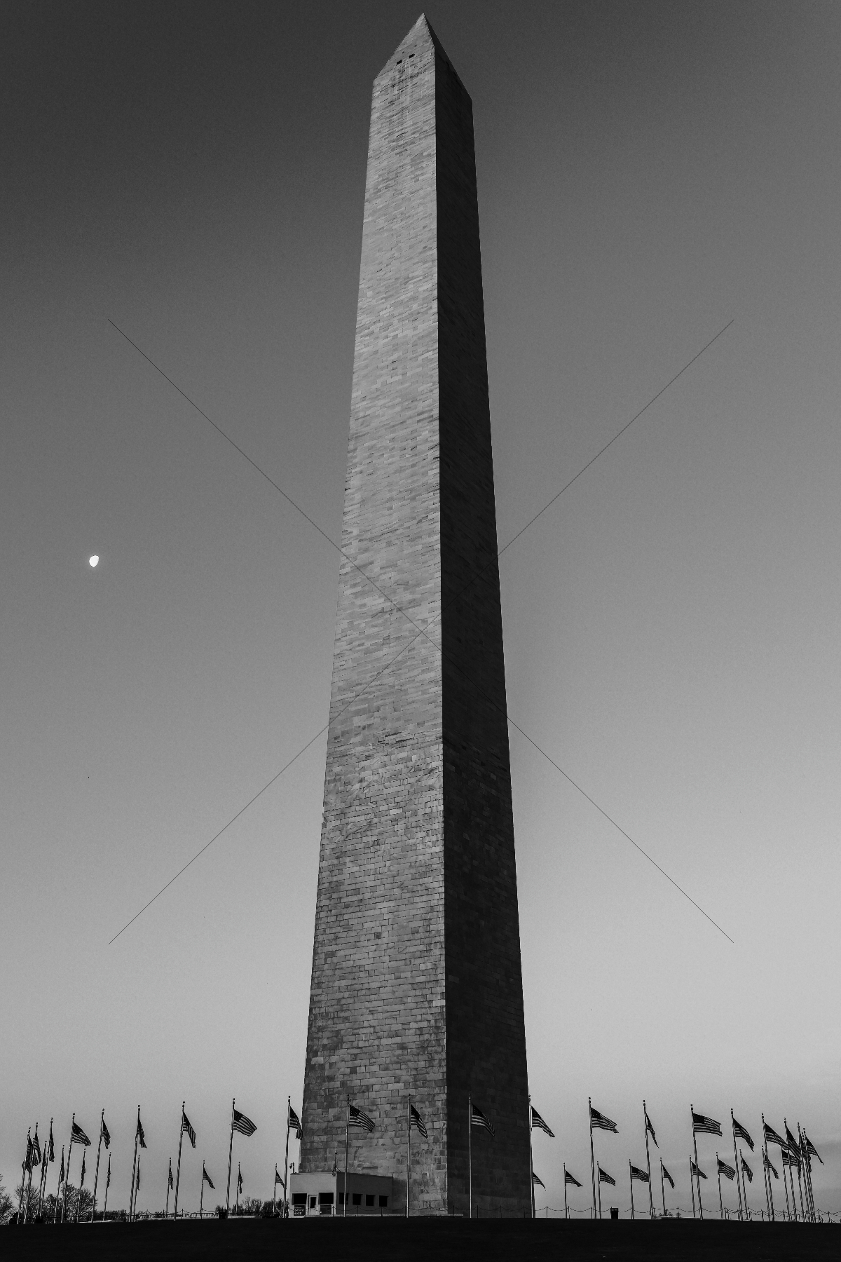 The World In Black And White 6" x 4" Photo Print