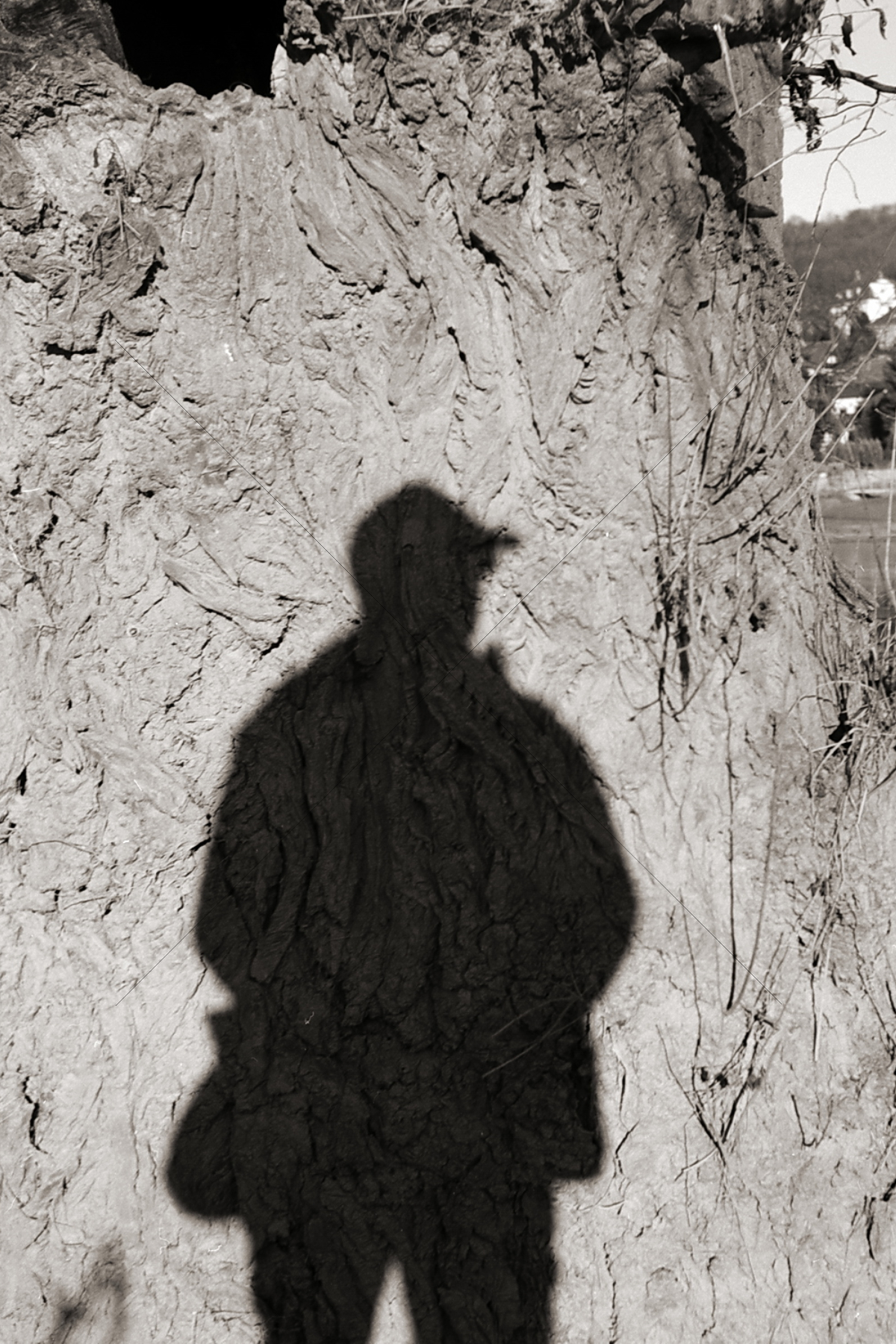 The World In Black And White 6" x 4" Photo Print