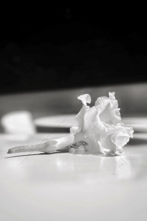 The World In Black And White 6" x 4" Photo Print