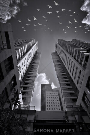 The World In Black And White 6" x 4" Photo Print