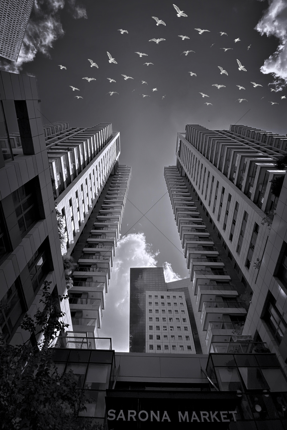 The World In Black And White 6" x 4" Photo Print