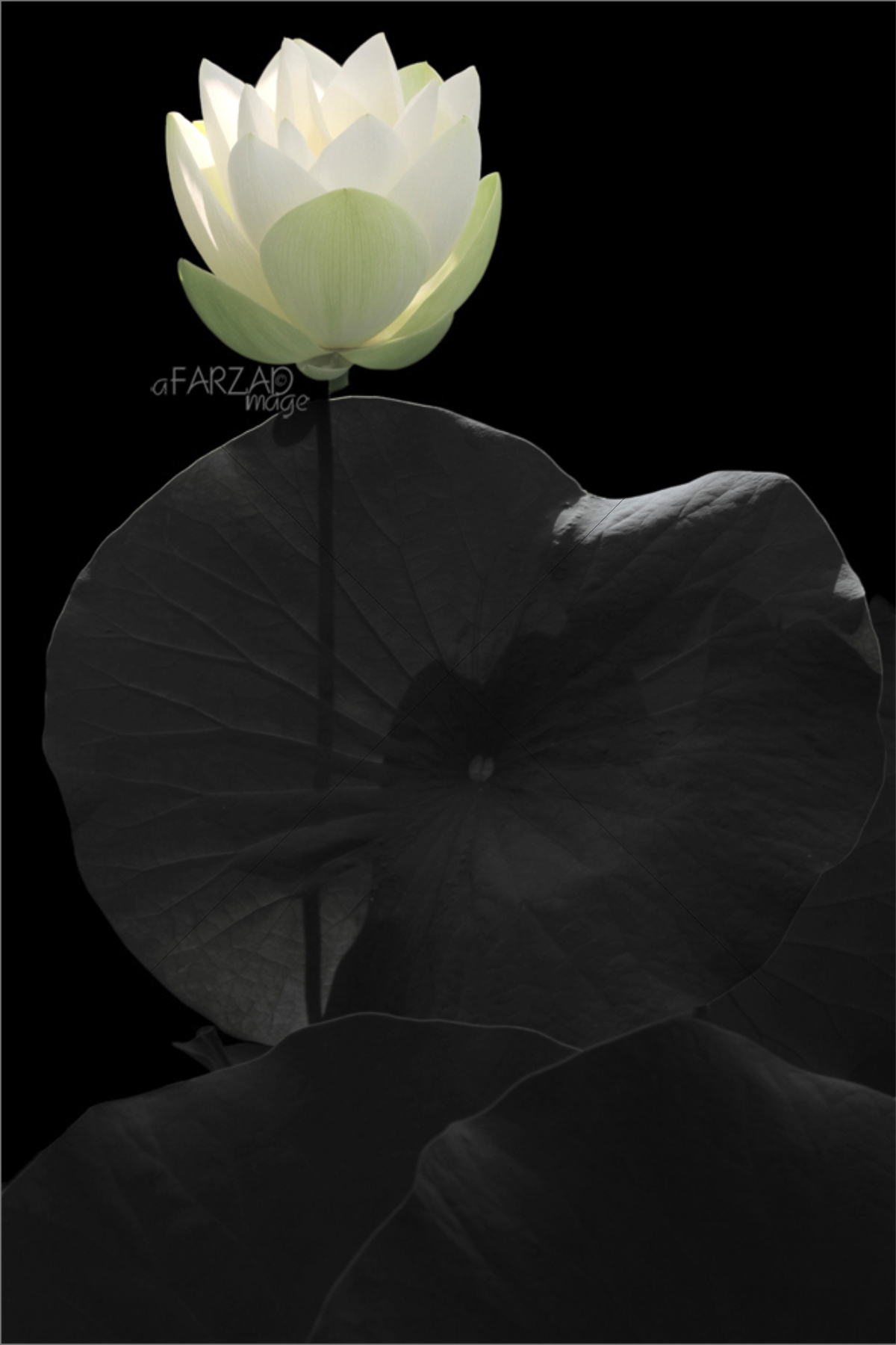 The World In Black And White 6" x 4" Photo Print