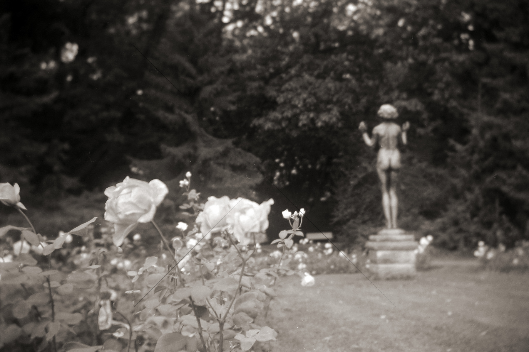 The World In Black And White 6" x 4" Photo Print