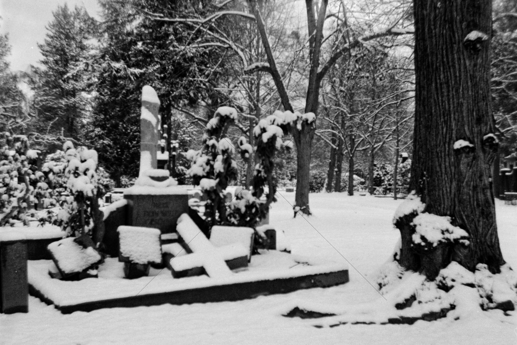 The World In Black And White 6" x 4" Photo Print