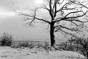 The World In Black And White 6" x 4" Photo Print