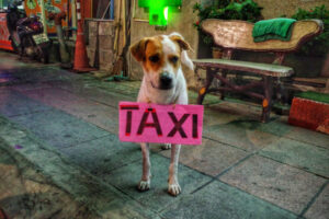 Candid Street Portrait From Around The World 6" x 4" Photo Print