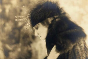 Rose Delores Ziegfeld Beauty Fur 6"x4" Photo Print