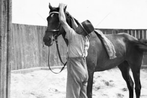 Yearling Sales Sand Pit at Inglis Sales 1935 6"x4" Photo Print