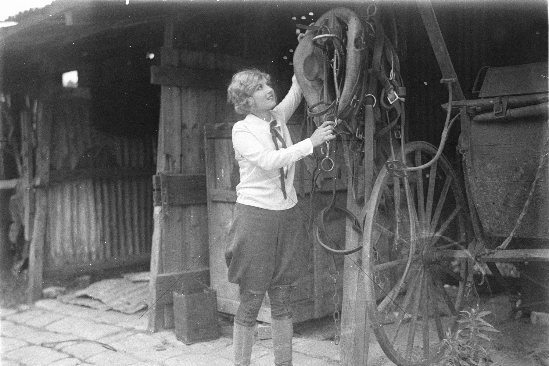 Eva Novak Randwick Racecourse Actress 6"x4" Photo Print