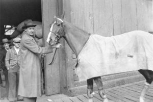 NZ Racehorse Toaraweal Unloaded Boat 1930 6"x4" Photo Print